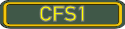 CFS1